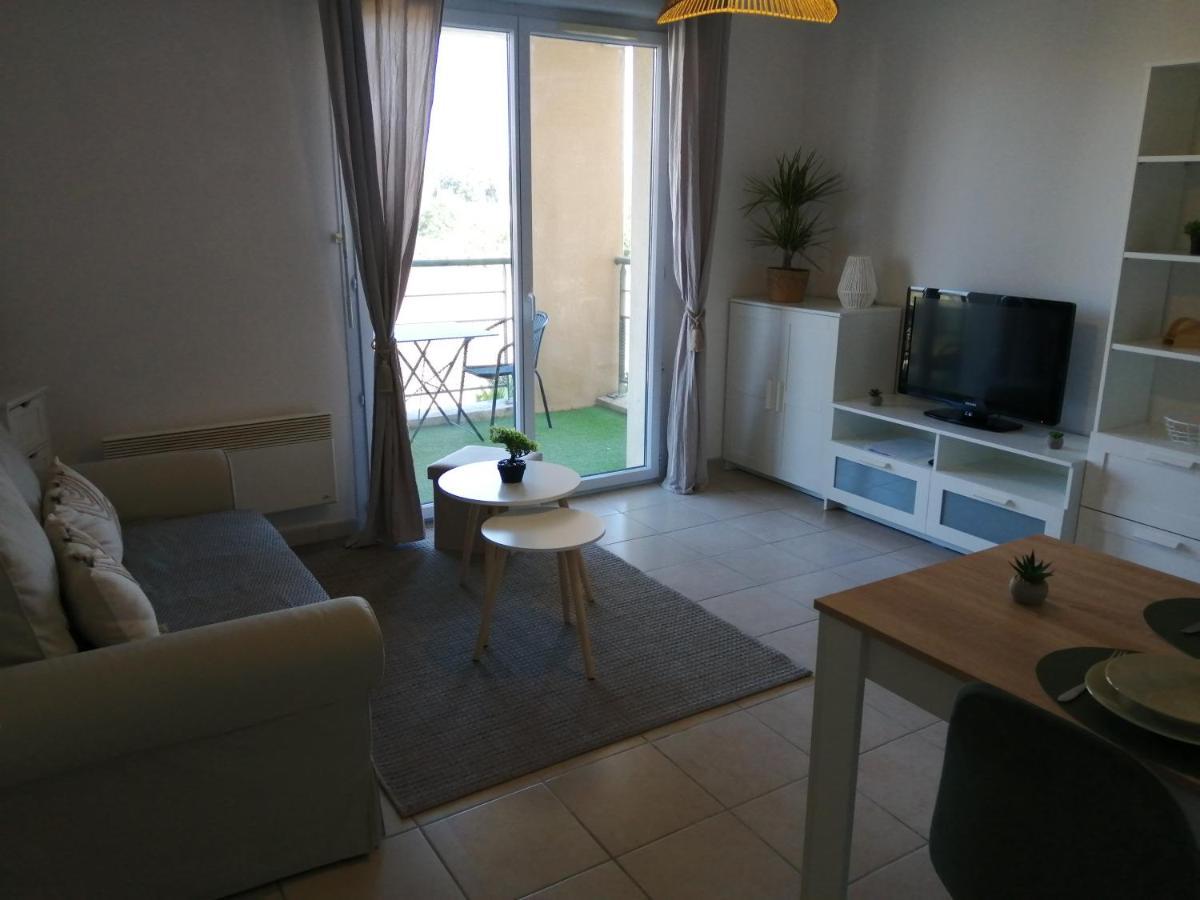 Apartamento Le Cocon De Marie,Piscine, Balcon, Parking Gratuit, Baignoire Carcasona Exterior foto